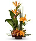 Teleflora's Exotic Grace from Flowers by Ramon of Lawton, OK